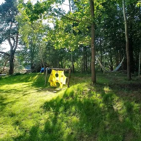Warmia Forest House - Pod Koronami Drzew * Jedzbark