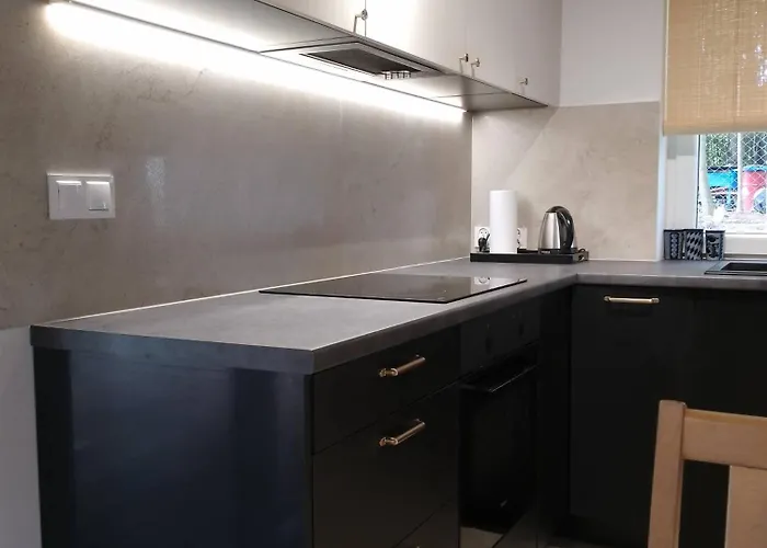 Warmia Forest House - Pod Koronami Drzew 度假居 *